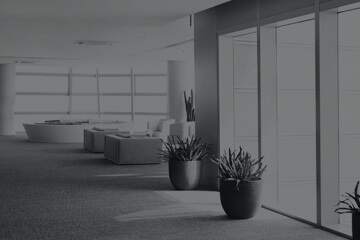 Construction Consultant